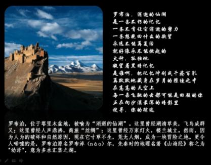 上海市掼蛋运动协会成立,其实当选首届会长
